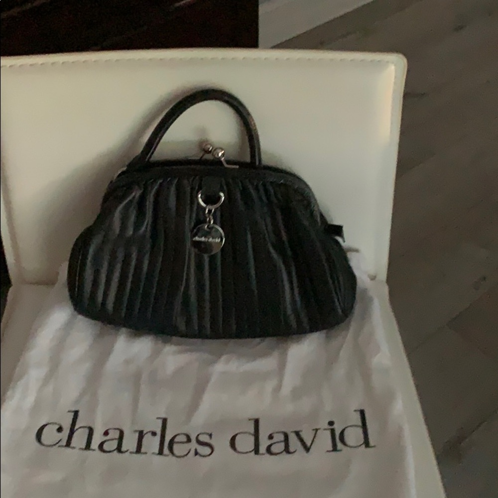 Charles David purse